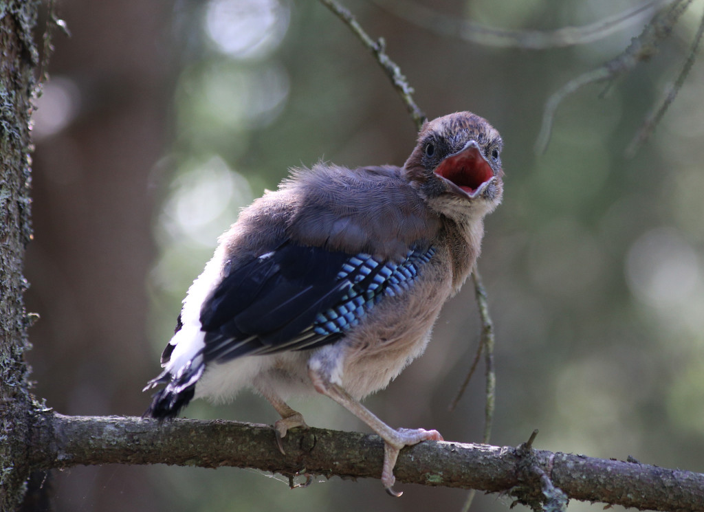 narhi_IMG_0400_cropped